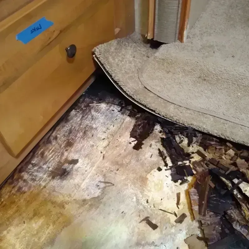 Wood Floor Water Damage in Park County, CO